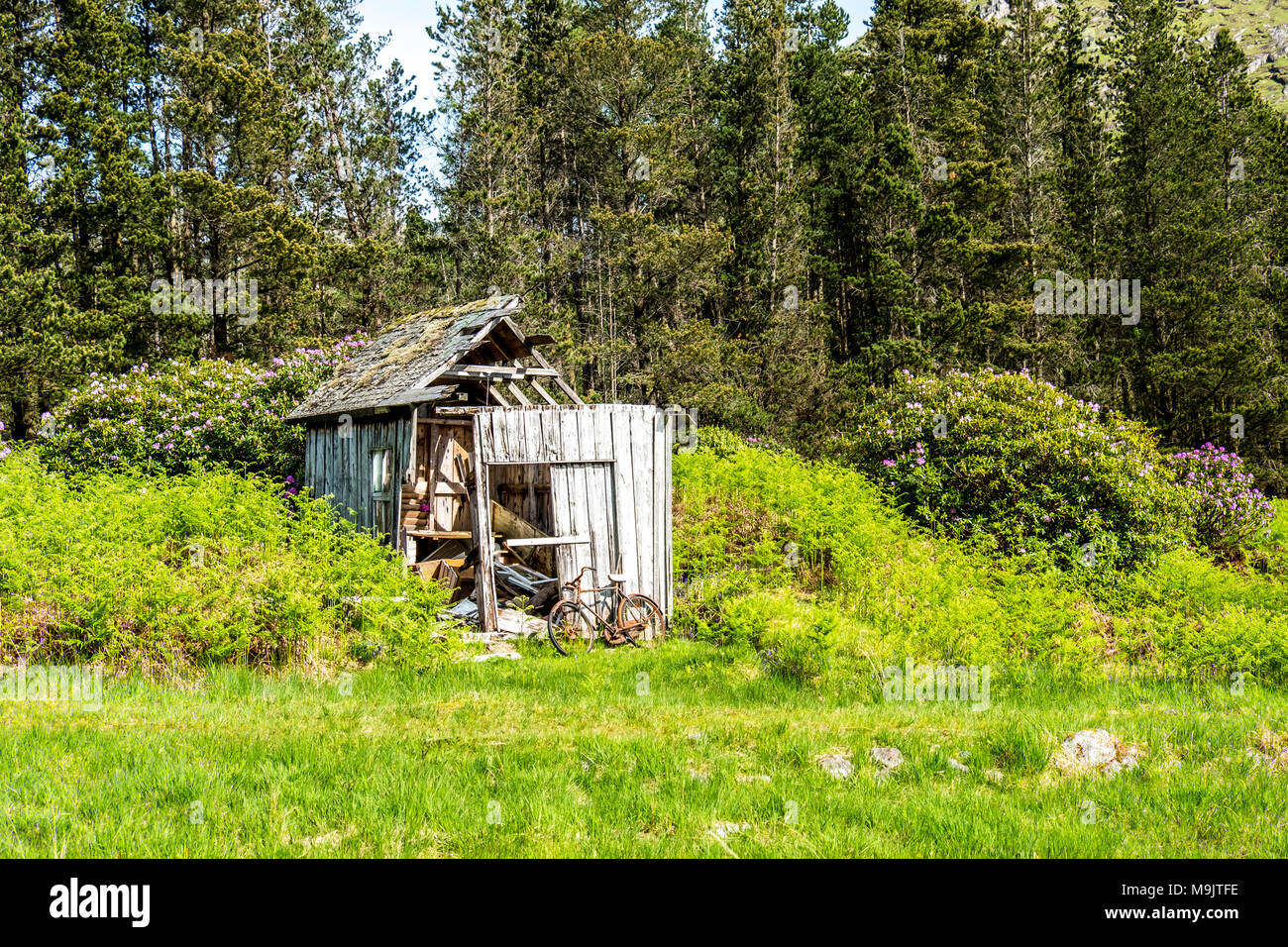 Abandoned shed in the Scottish Highlands with a broken rusted bike outside. Stock Photo