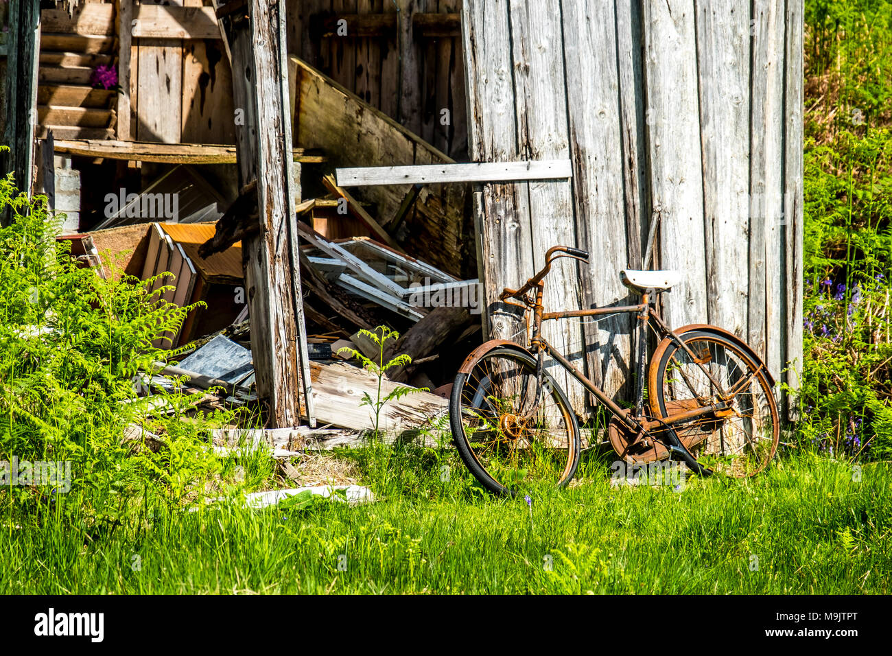 Abandoned shed in the Scottish Highlands with a broken rusted bike outside. Stock Photo