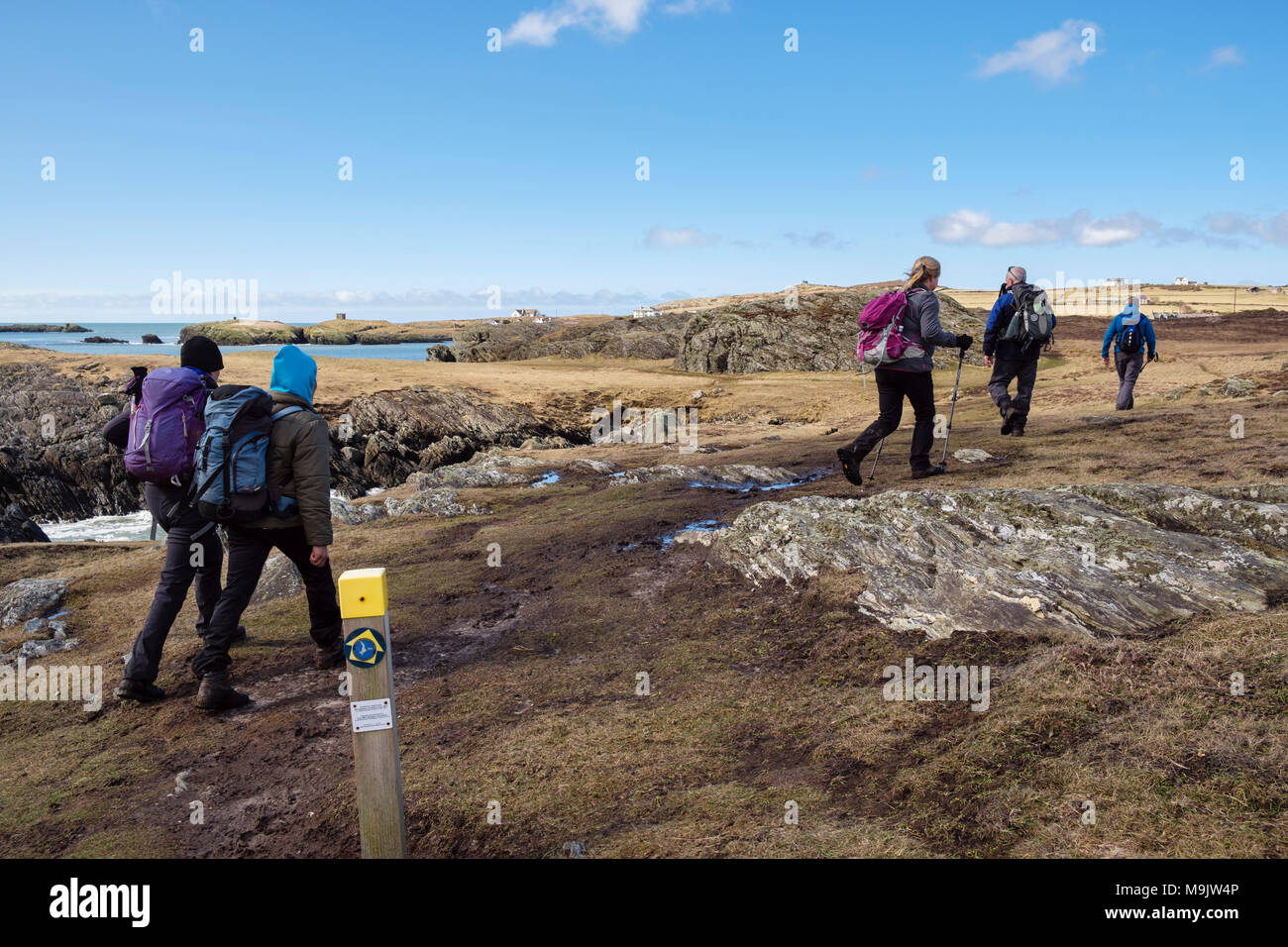 Hikers hiking on Isle of Anglesey Coastal Path from Silver Bay to Rhoscolyn, Holy Island, Anglesey, North Wales, UK, Britain Stock Photo