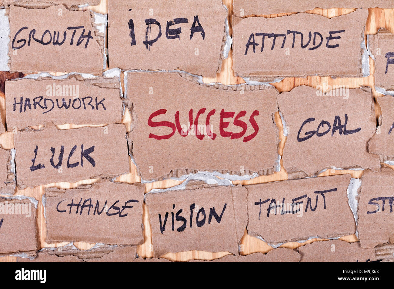Success word cloud made on cardboard cutouts Stock Photo Alamy