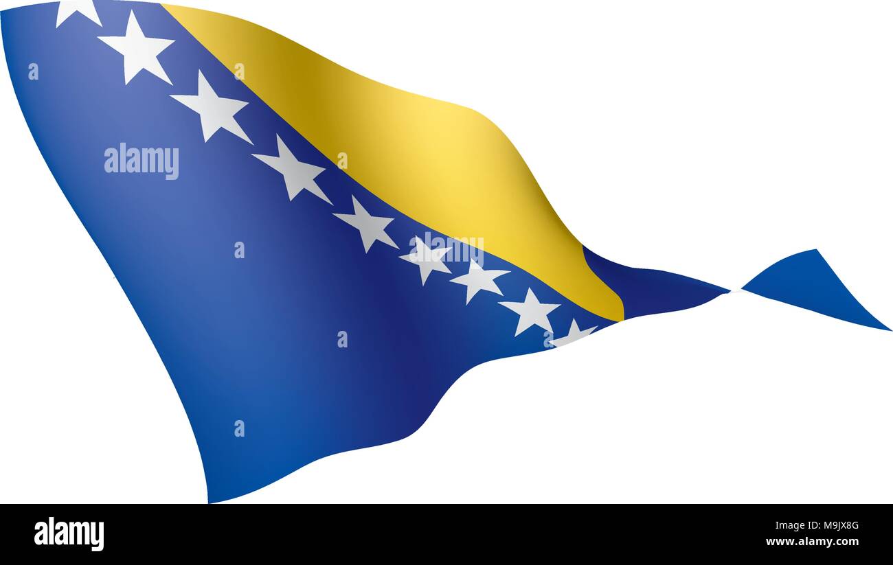 Bosnia and Herzegovina flag, vector illustration Stock Vector Image ...