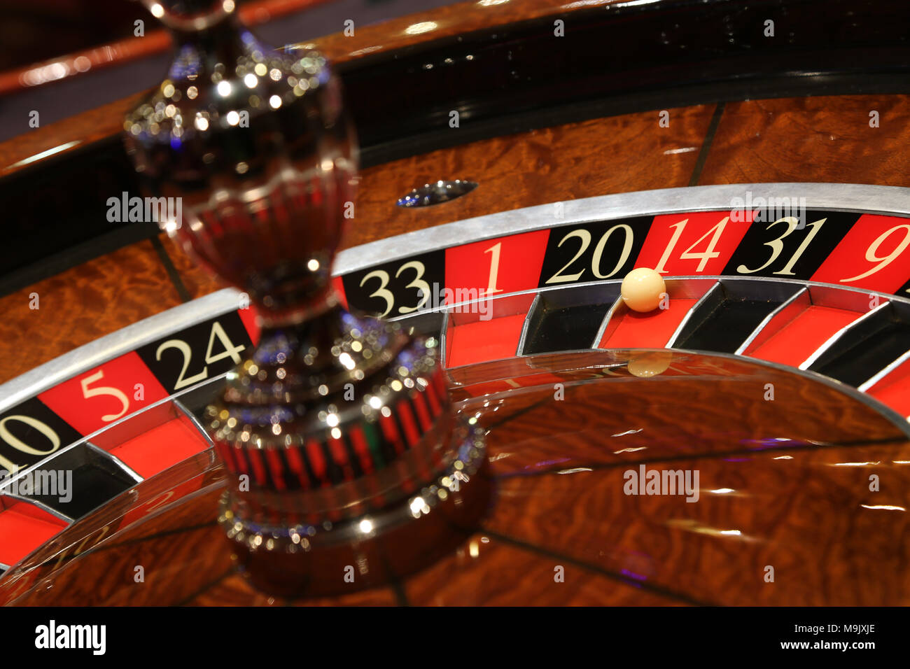 online casino crack software online casino bonus zonder storten