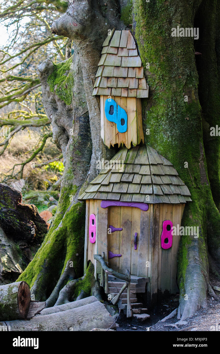 Door into a fairy house at the fairy trail, Slieve Gullion County