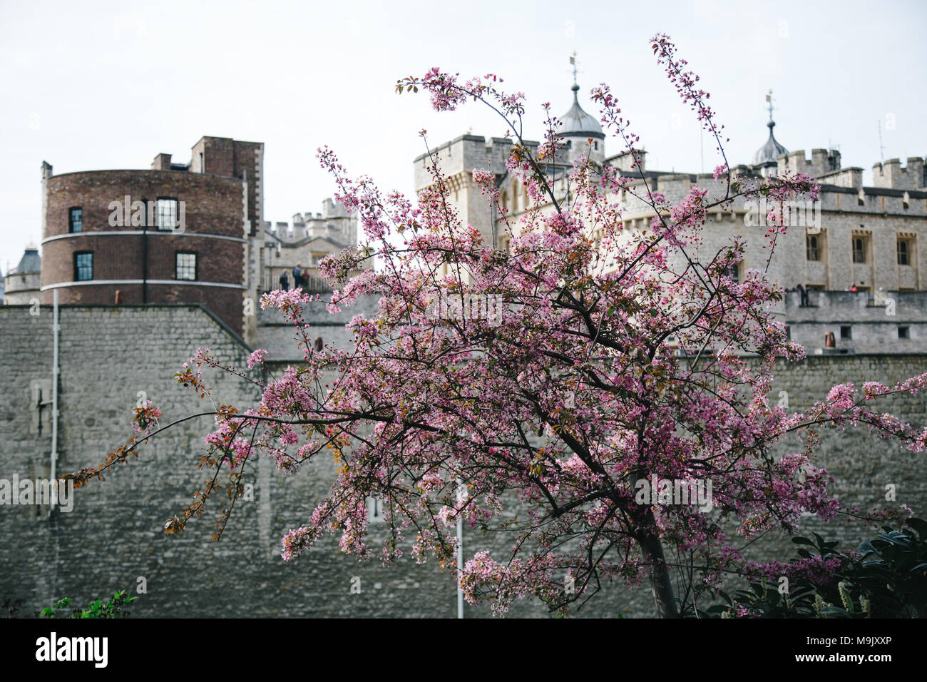 London in the springtime Stock Photo