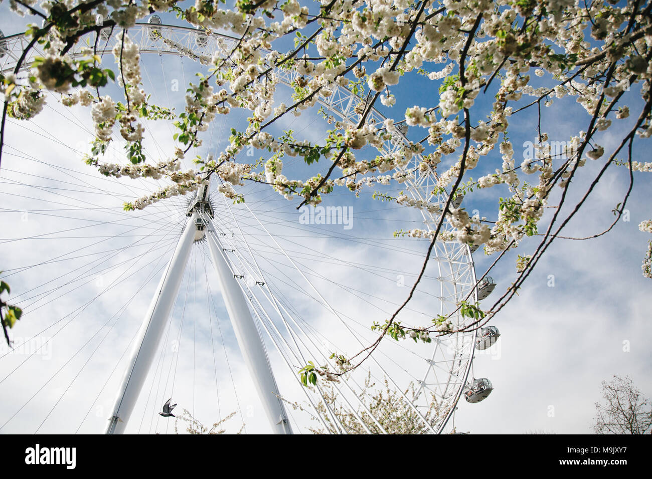 London Eye with flowers Stock Photo