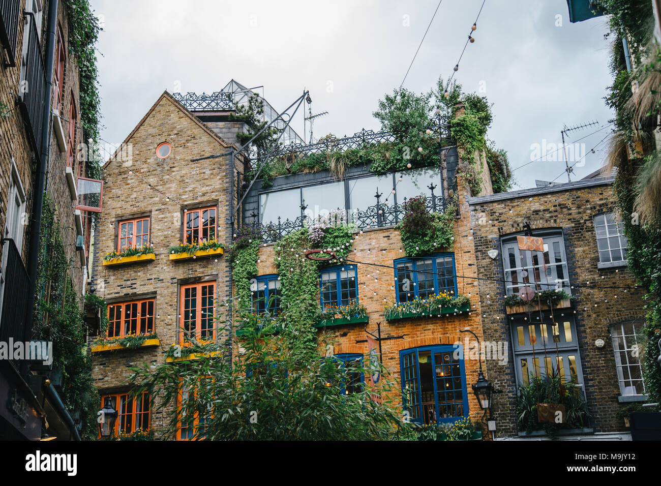 Neal's Yard in London Stock Photo Alamy