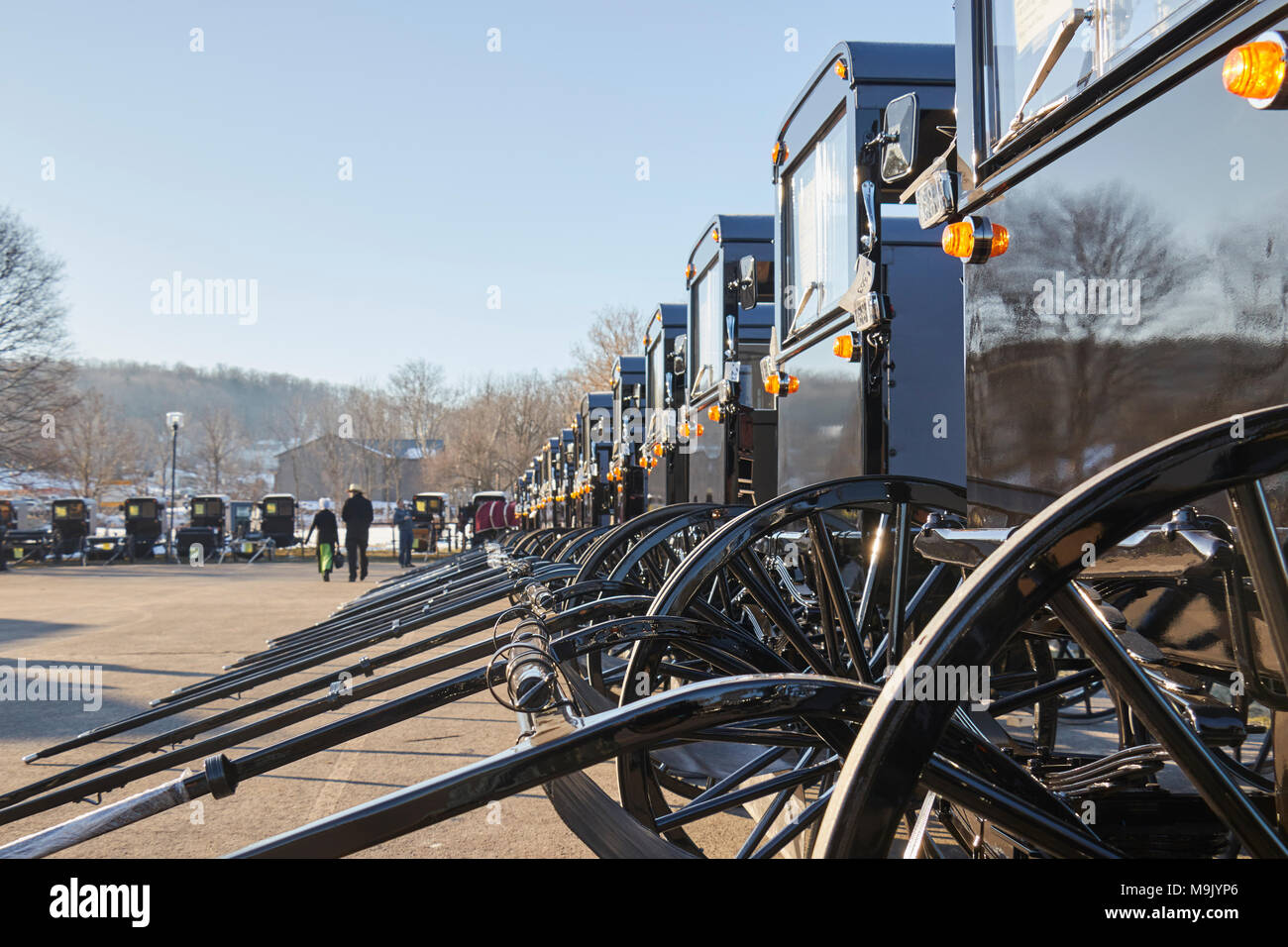 Amish buggies lined up for auction at a mud sale, Amish Country, Gap