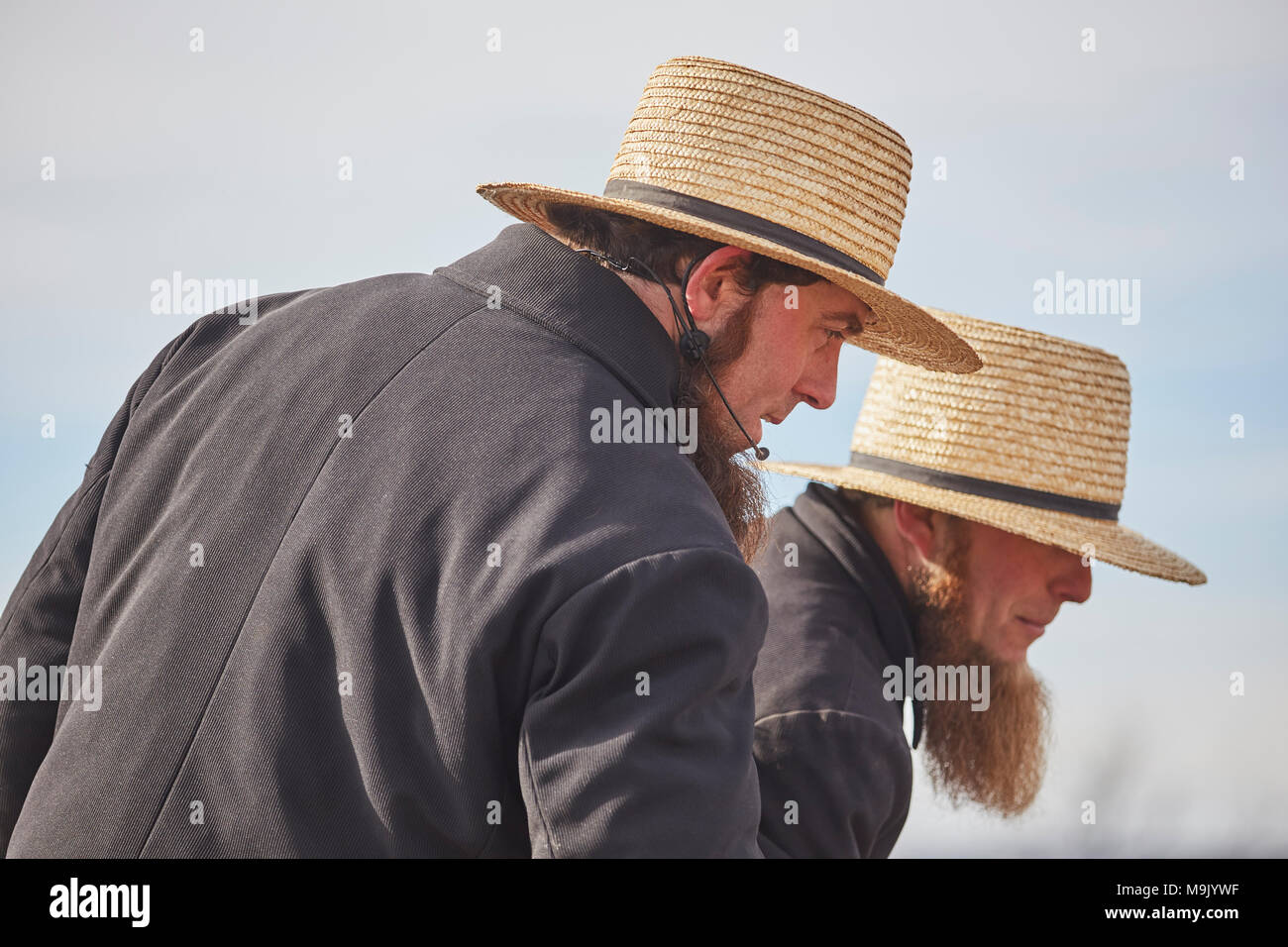 Amish auctioneers at a mud sale, Lancaster County, Pennsylvania, USA Stock Photo Alamy