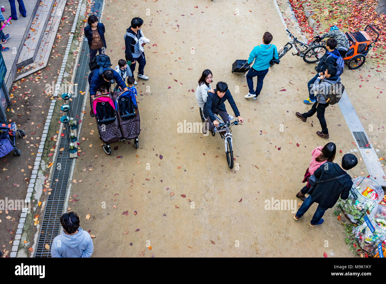 SEOUL, SOUTH KOREA - NOVEMBER 15: Path with people walking and playing in Seoul Forest Park on September 15, 2015 in Seoul Stock Photo