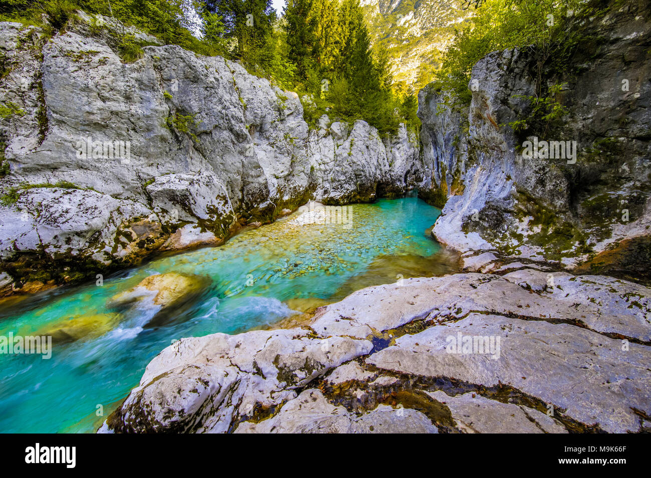Vivid turquoise Soca river in Triglav National Park, Julian Alps, Slovenia Europe Stock Photo