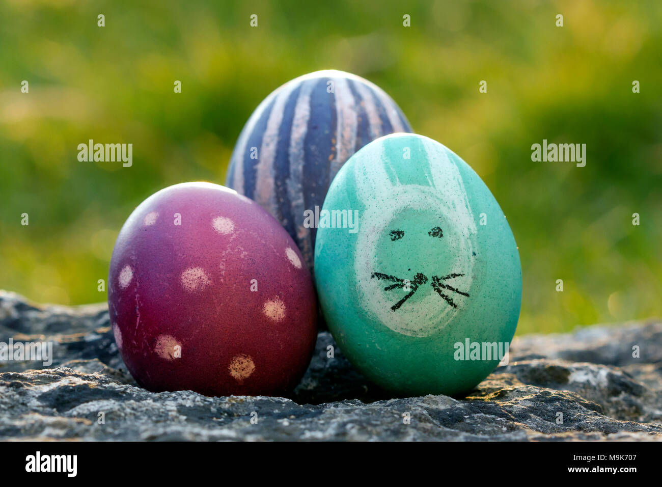 Easter egg hunting tradition Stock Photo Alamy
