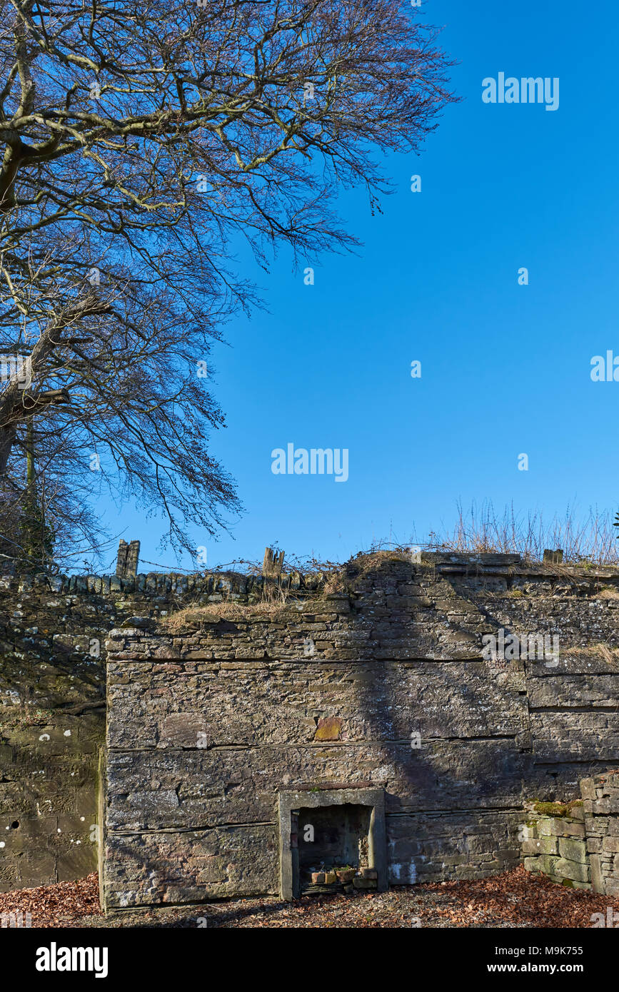 An end wall and fireplace of what used to be the Waiting room at