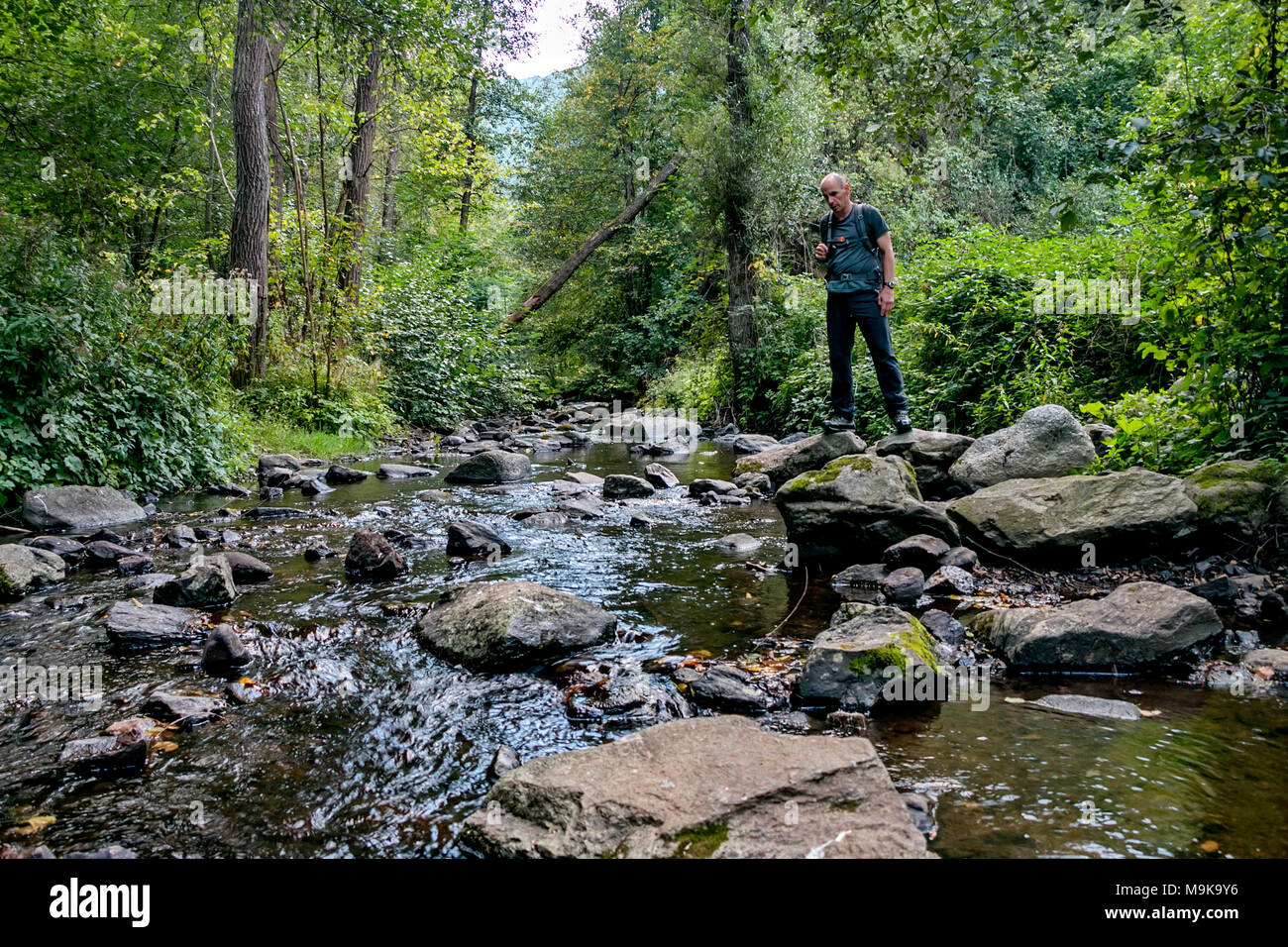 A man is standing on the bank of a small river in the forest. Concept of exploration and survival in the wilderness. Stock Photo