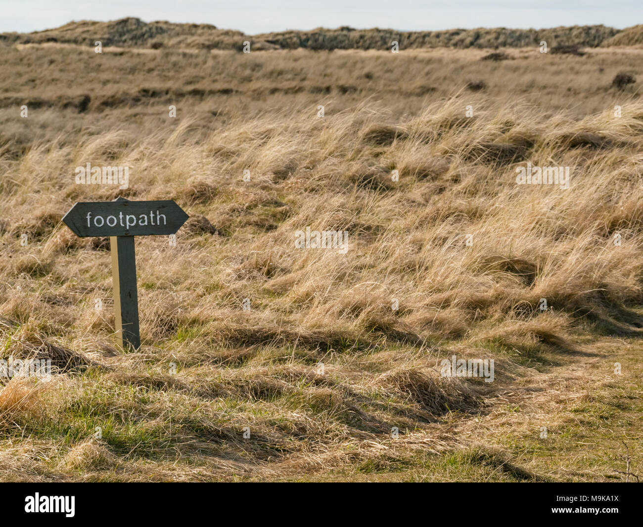 Footpath wooden sign in the dunes, Aberlady Nature Reserve, East Lothian, Scotland, UK Stock Photo