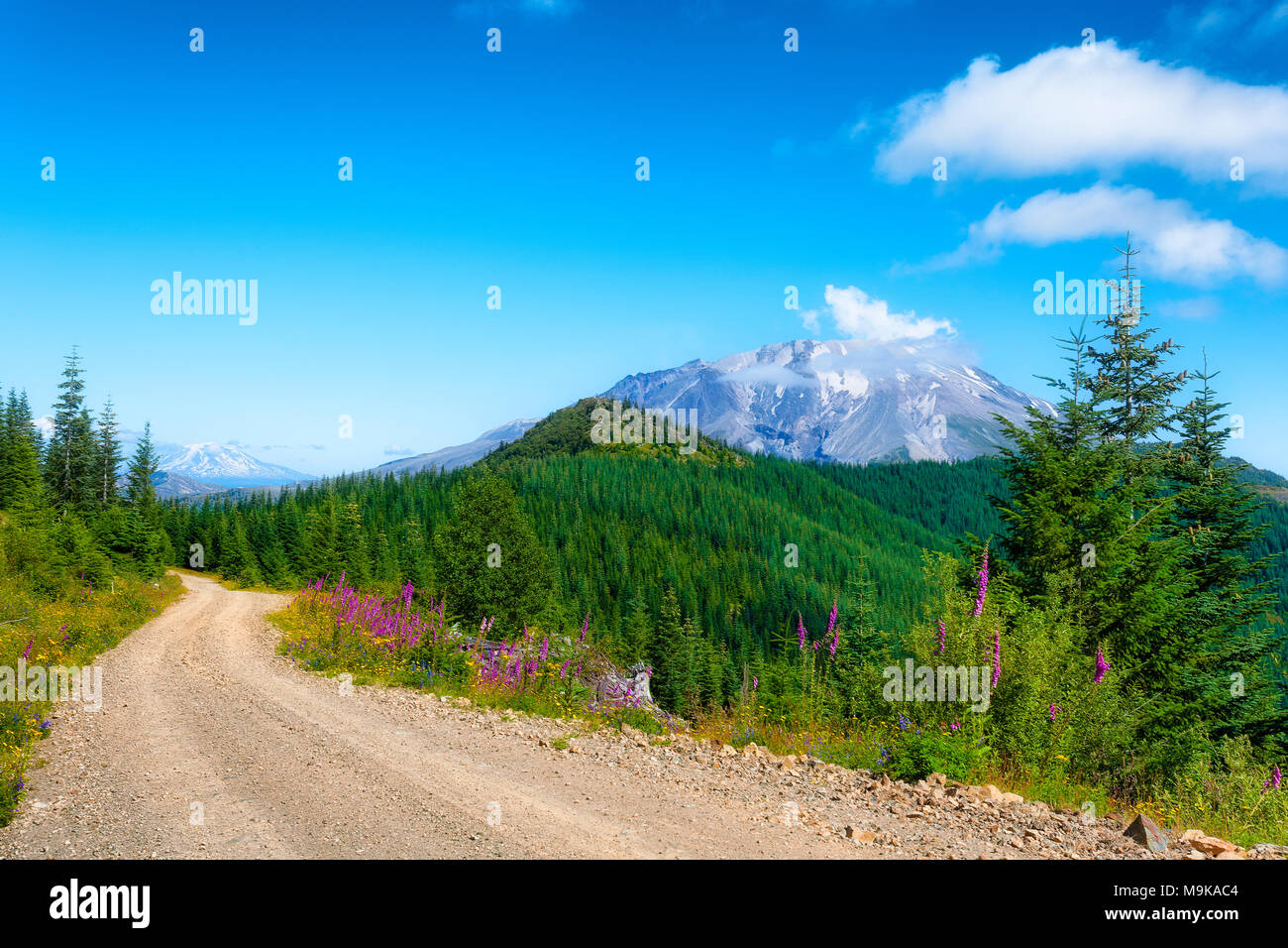 Dirt forest service road in the Gifford Pinchot National Forest the volcano, Mt. St. Helens