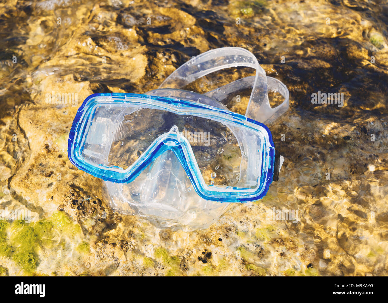 Swimming snorkel mask underwater Stock Photo Alamy