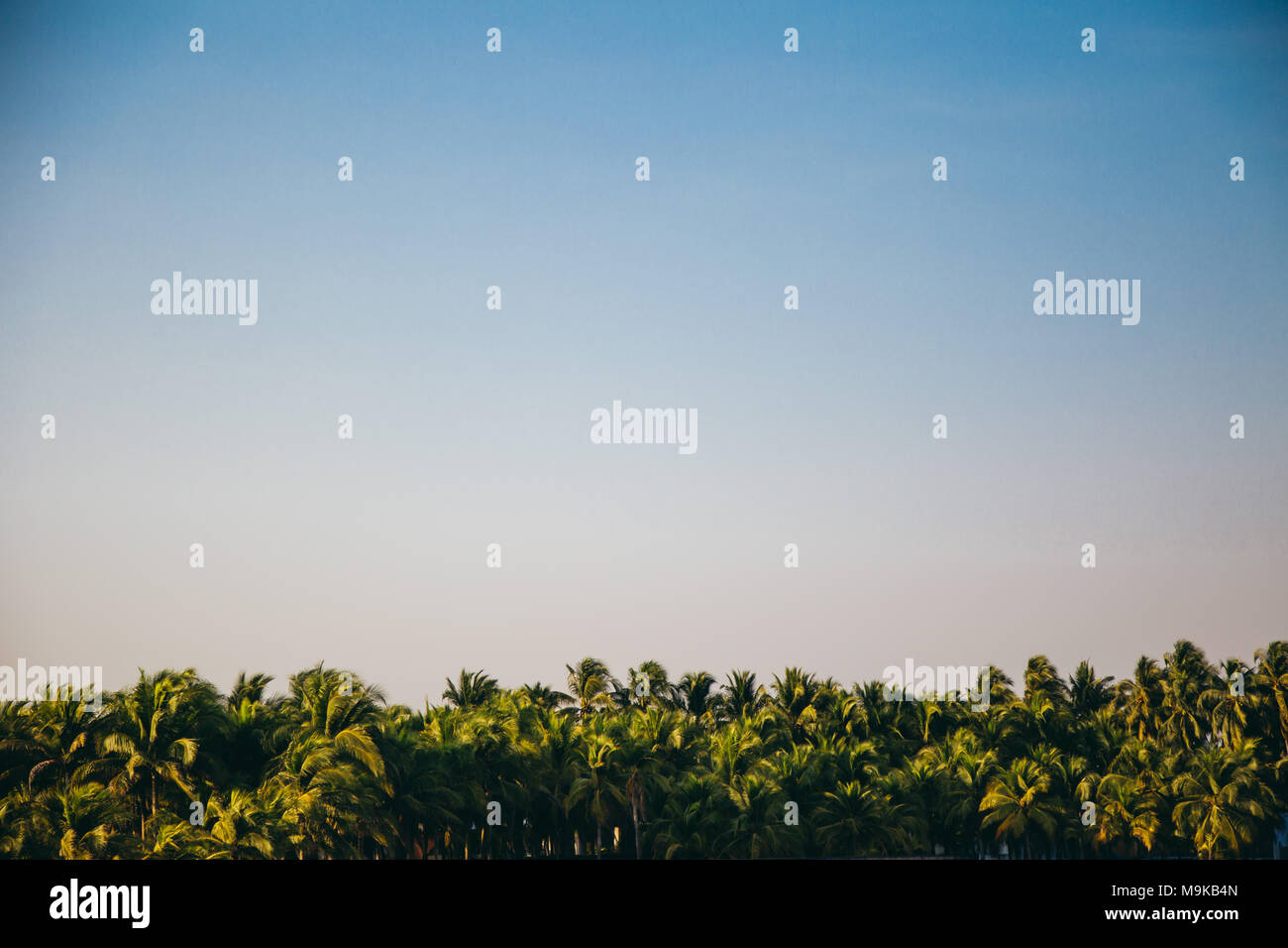 Tropical beach afternoon skyline Stock Photo