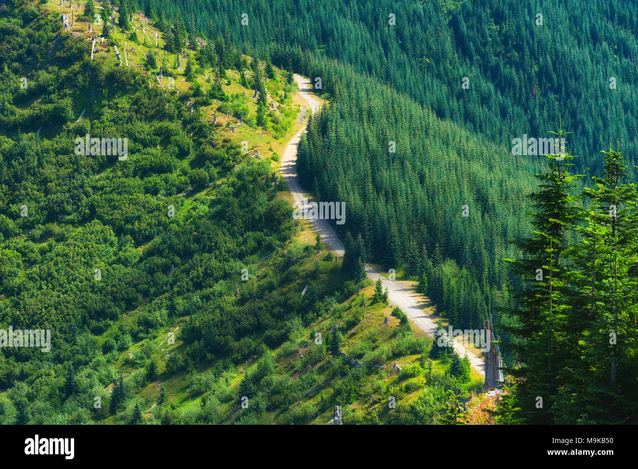 View of forest service road, from Castle Peak, in Gifford Pinchot National Forest Stock Photo