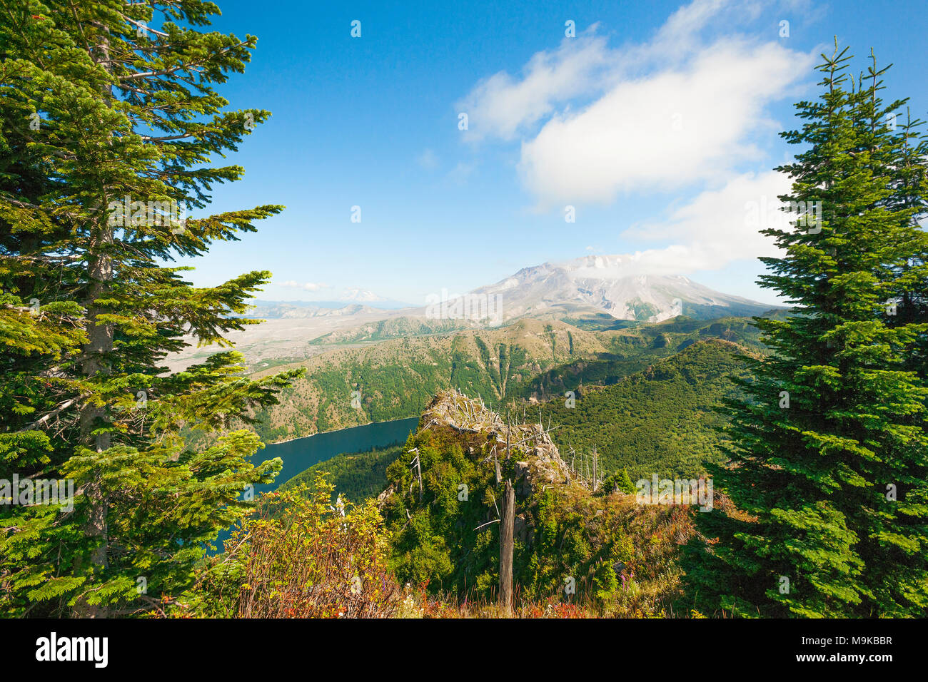 Mt st helens volcano in distance hi-res stock photography and images ...
