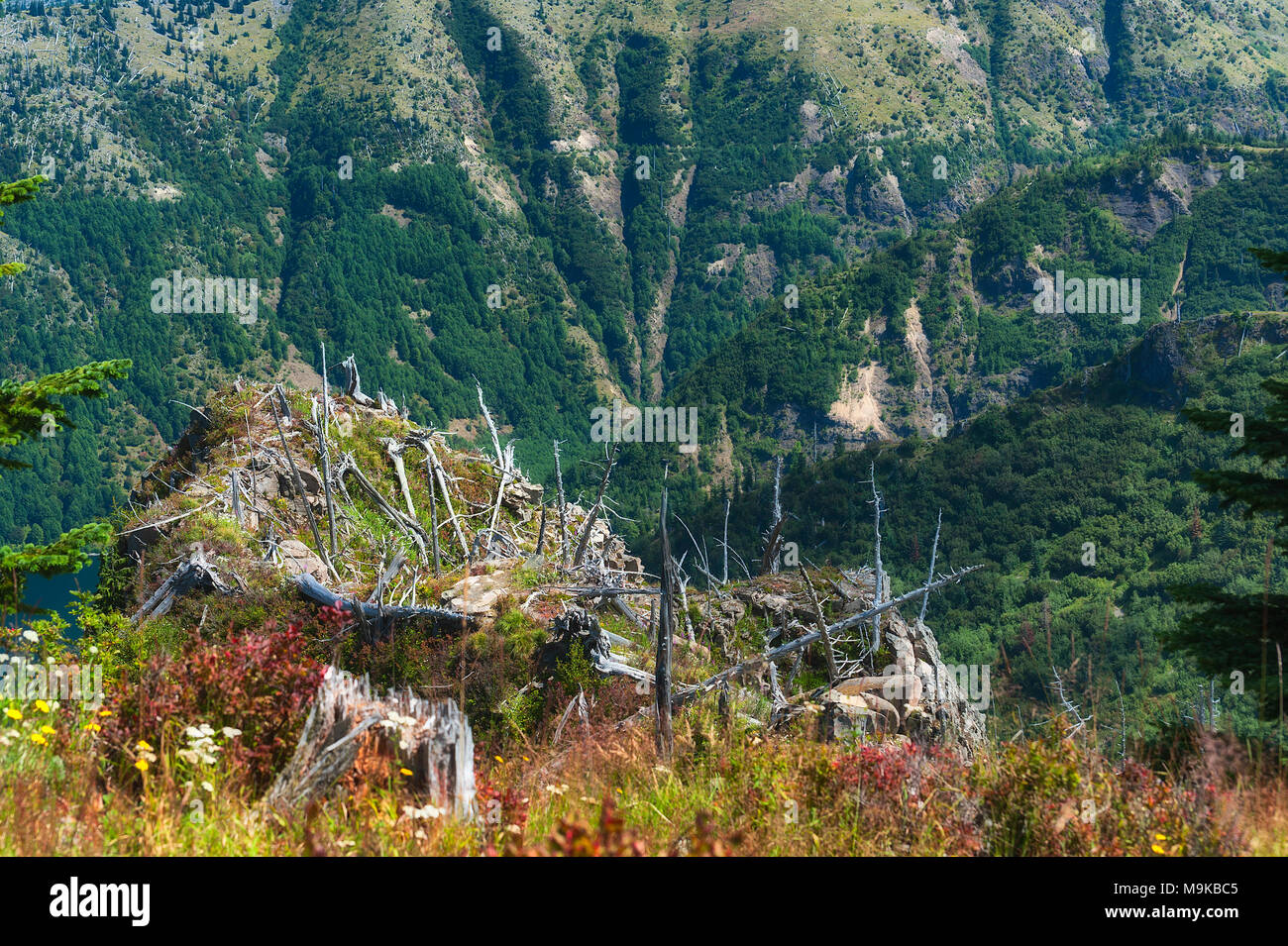 Mt st helens eruption hi-res stock photography and images - Alamy
