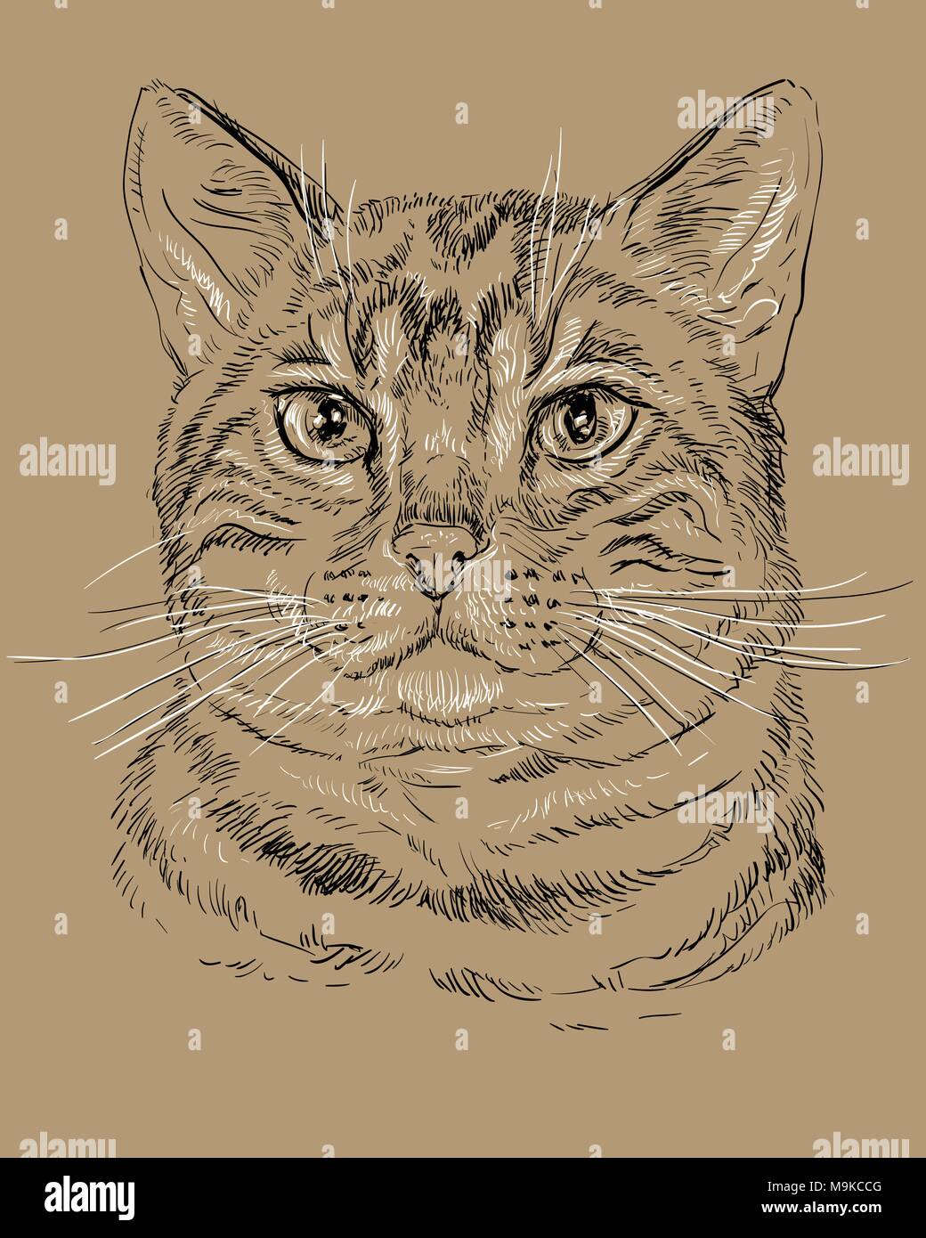 Vector outline monochrome portrait of tabby curious Bengal Сat in black and white colors. Hand drawing illustration isolated on brown background Stock Vector