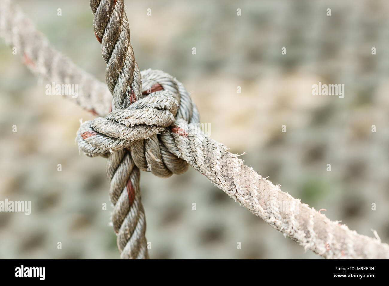 fishing rope knots