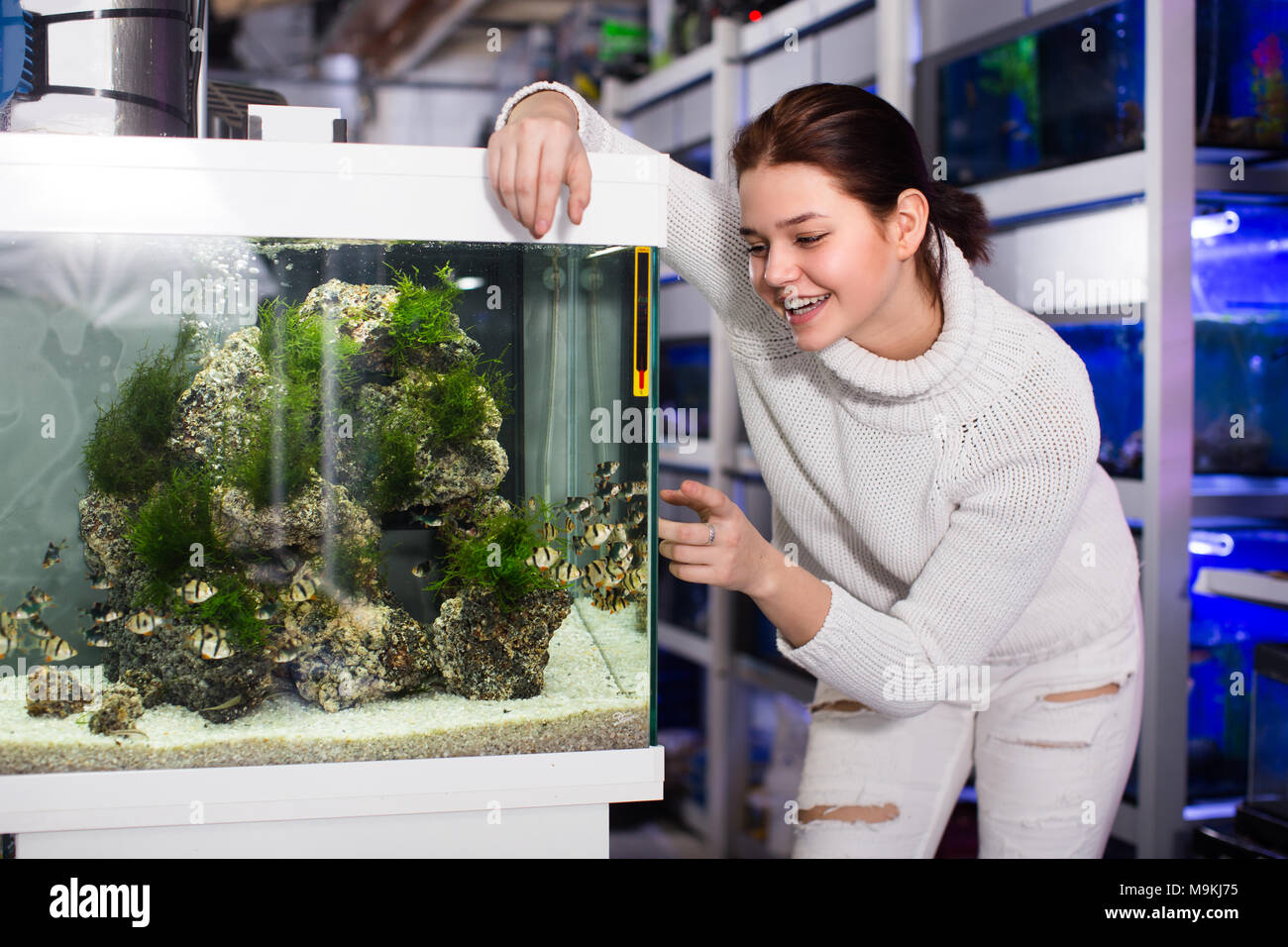 Smiling teenage girl is looking at striped and colorful fishes in aquarium with rocks and algae. Stock Photo