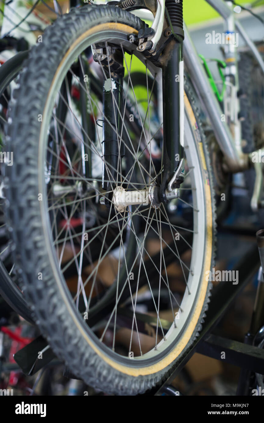 Image of tire on sport bicycle wheel selling in the sports shop Stock