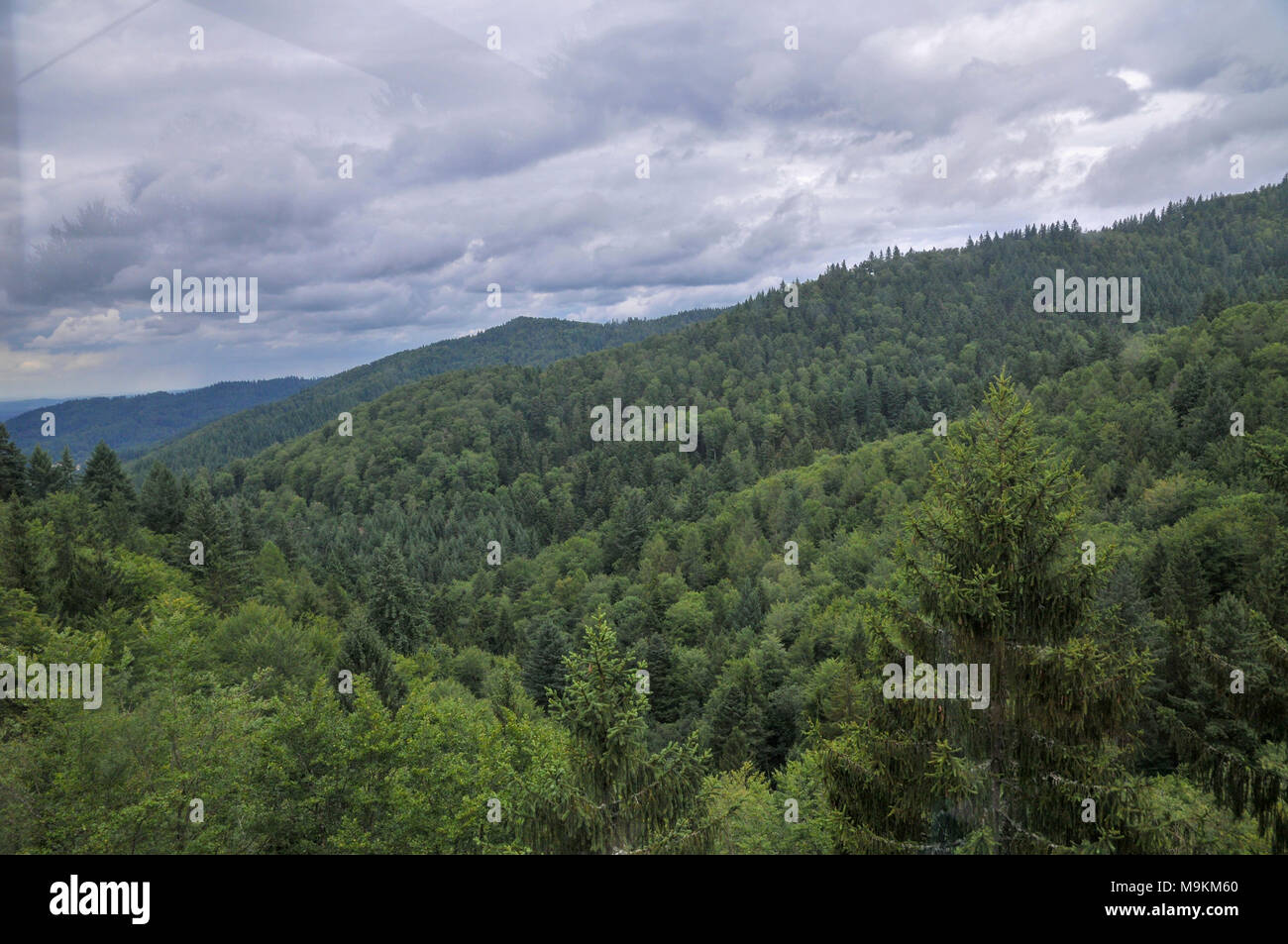 View of the mountain Schauinsland, Baden-Wurttemberg, Germany, Stock Photo