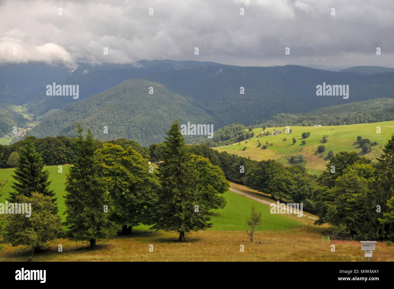 View of the mountain Schauinsland, Baden-Wurttemberg, Germany, Stock Photo