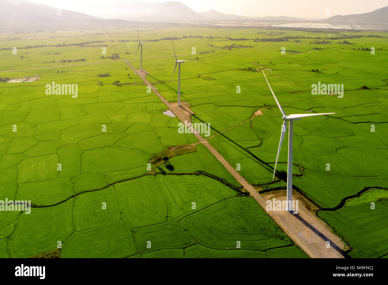 Windmill Rice Long Rice Windmill for electric power production, Wind turbines generating ...