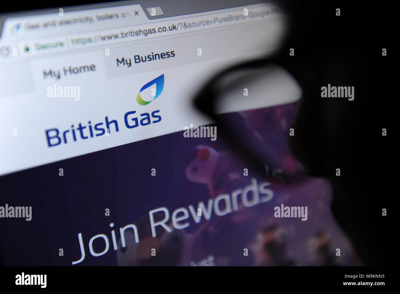 A person looks at the British Gas website on a computer Stock Photo