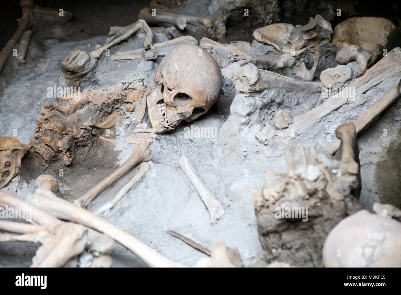 Skeletons and bones of the victims of a volcanic eruption in 79AD in the Roman city of Herculaneum, Italy Stock Photo