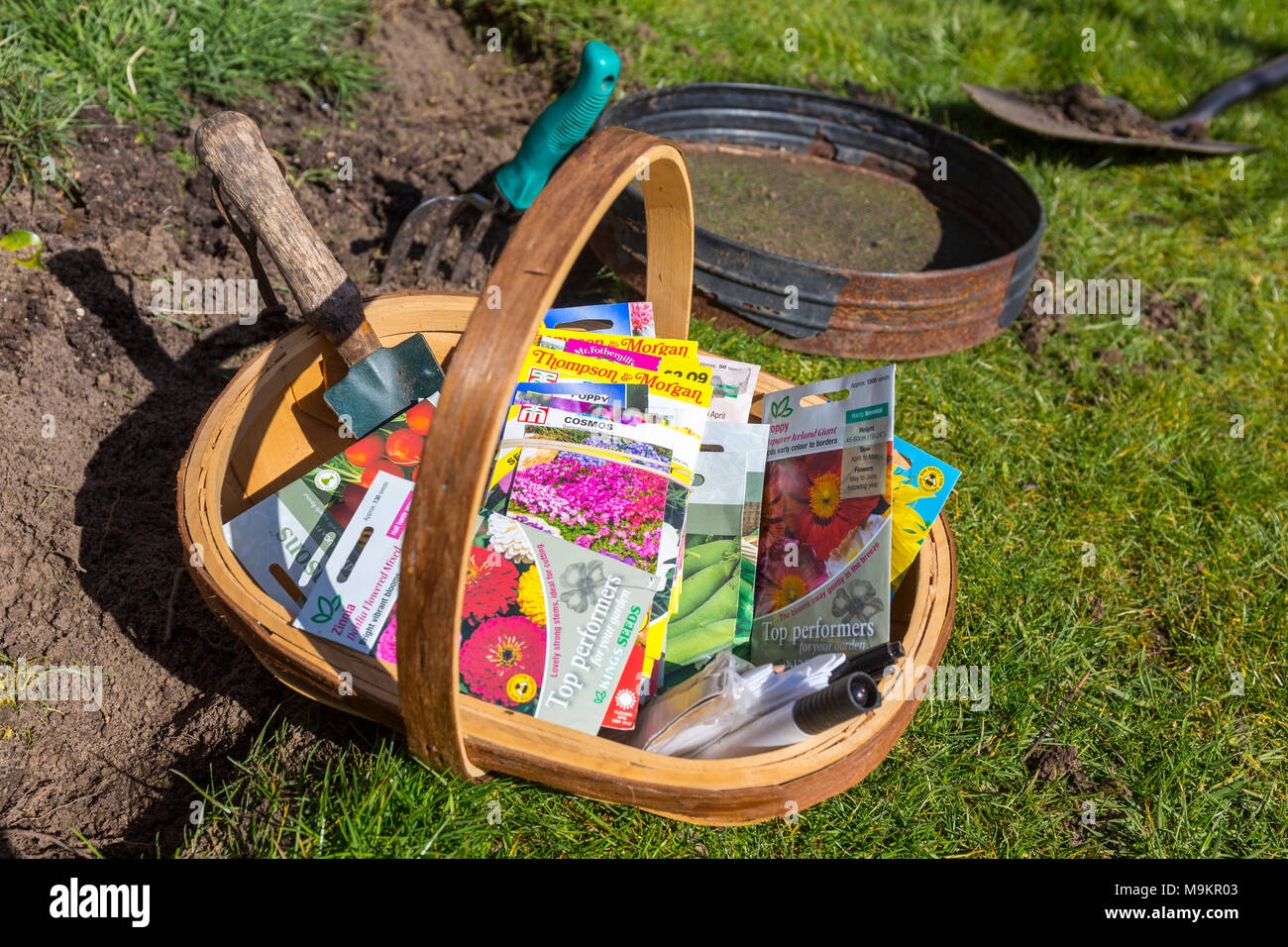 Seed packets, tools and labels in a gardeners' trug. Stock Photo
