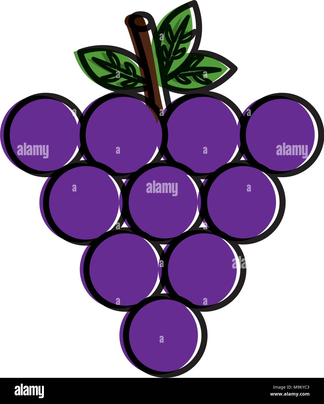 bunch grapes fruit nutrition diet fresh healthy lifestyle Stock Vector