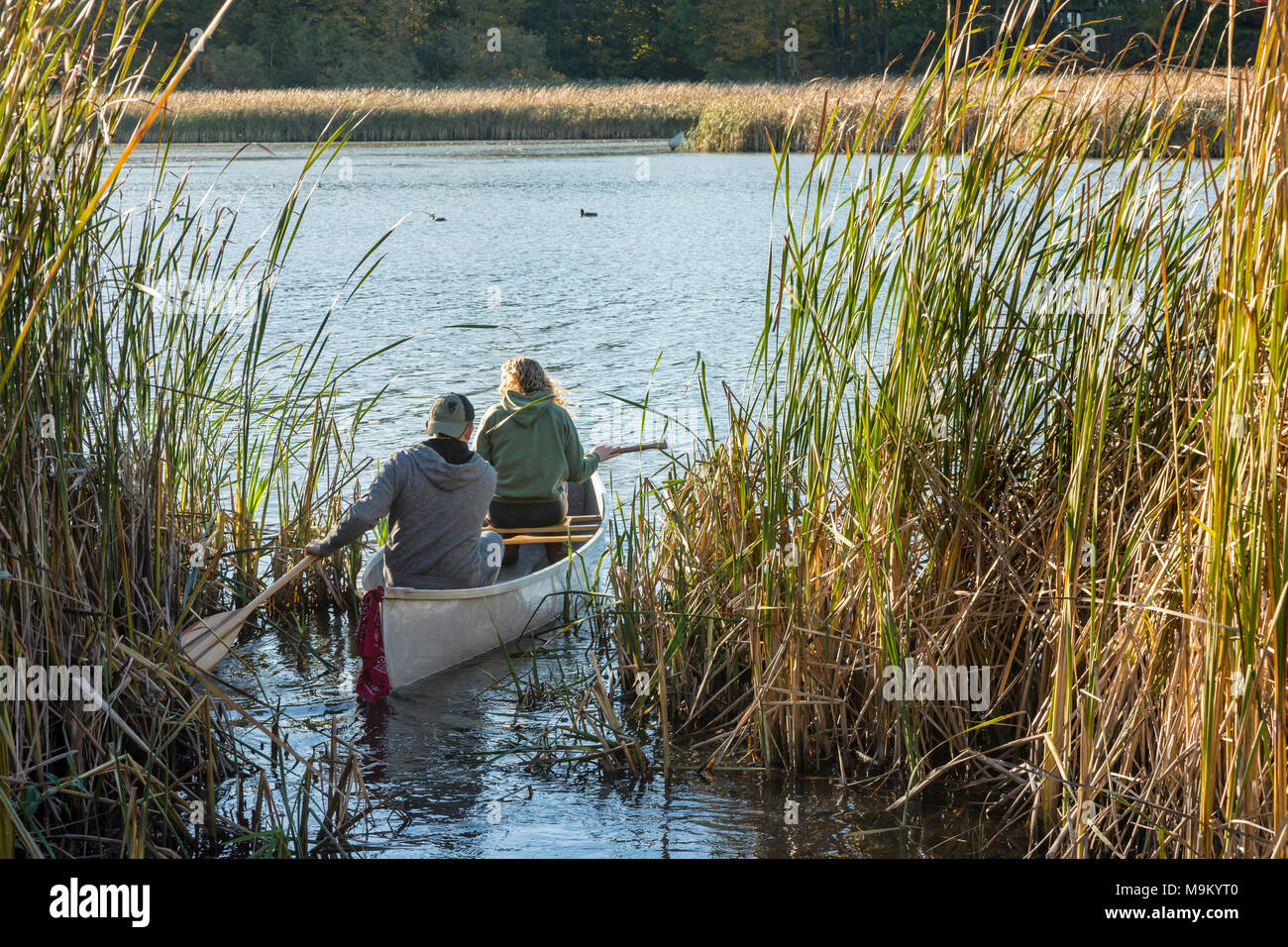 A couple canoeing on the rouge river, in Toronto, Ontario Stock Photo