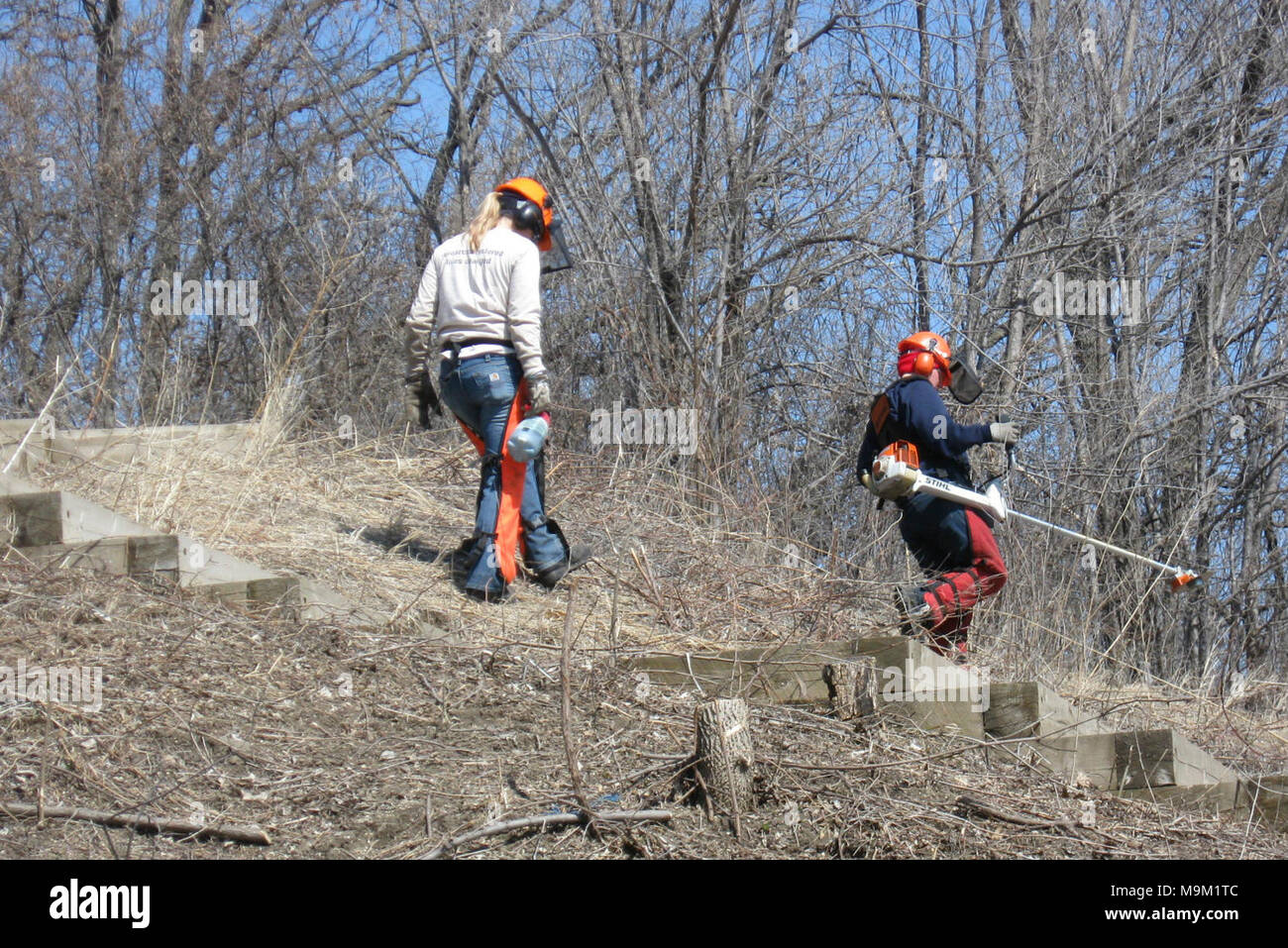 Resprouting hi-res stock photography and images - Alamy