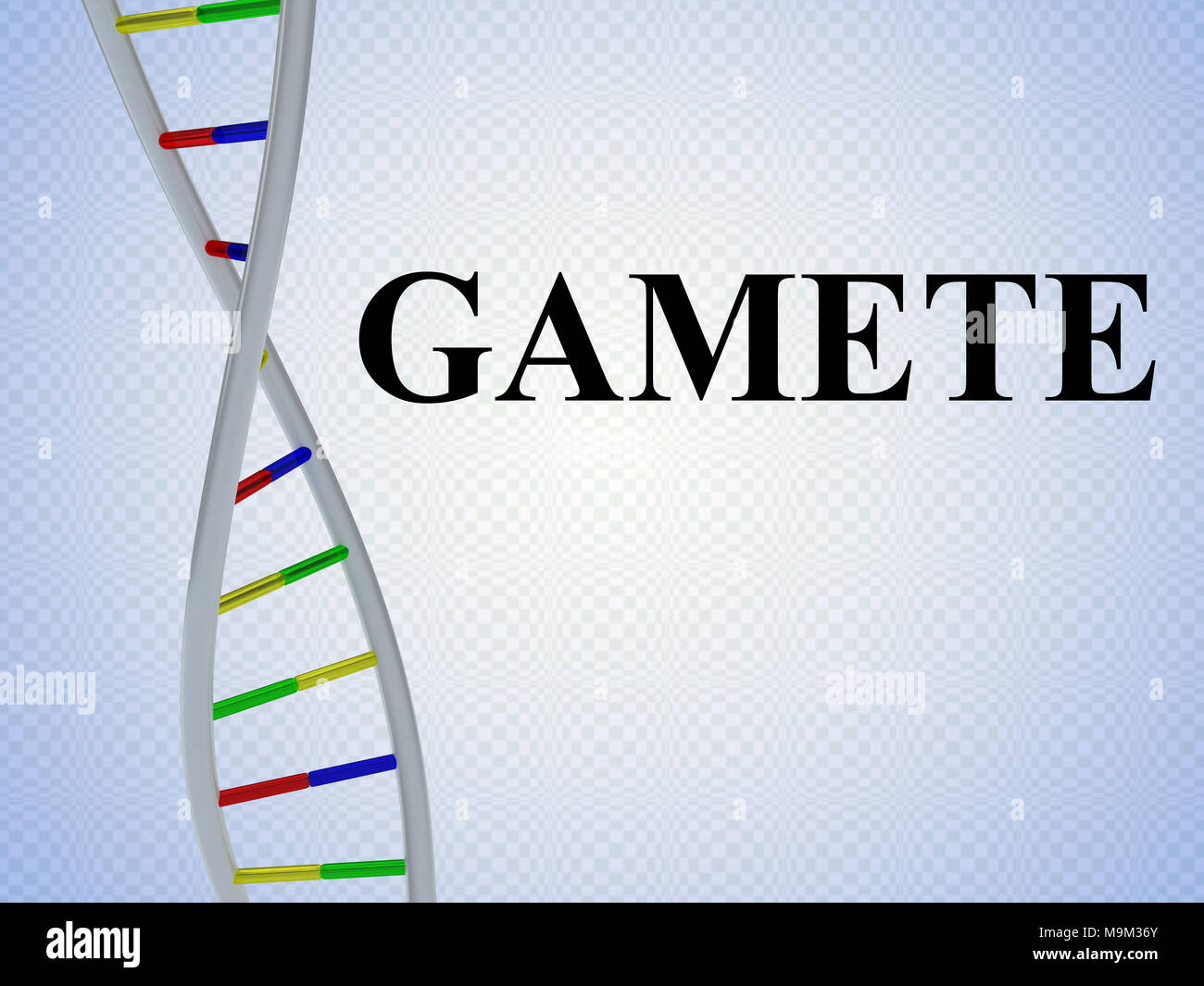 3D illustration of GAMETE script with DNA double helix , isolated on pale blue background Stock Photo