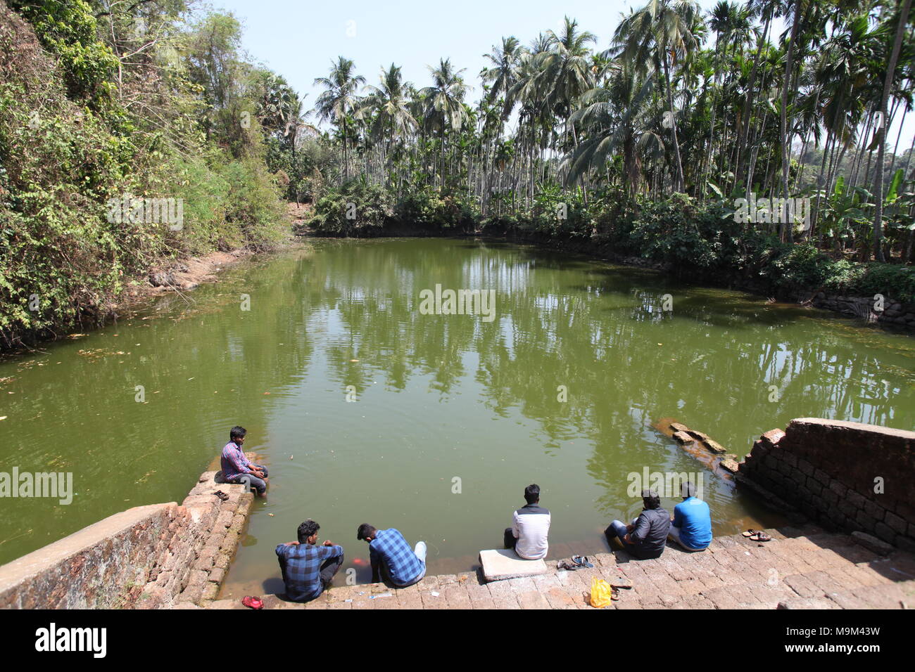 boys near a temple pond at a village in thrissur,kerala,surrounded by coconut trees Stock Photo