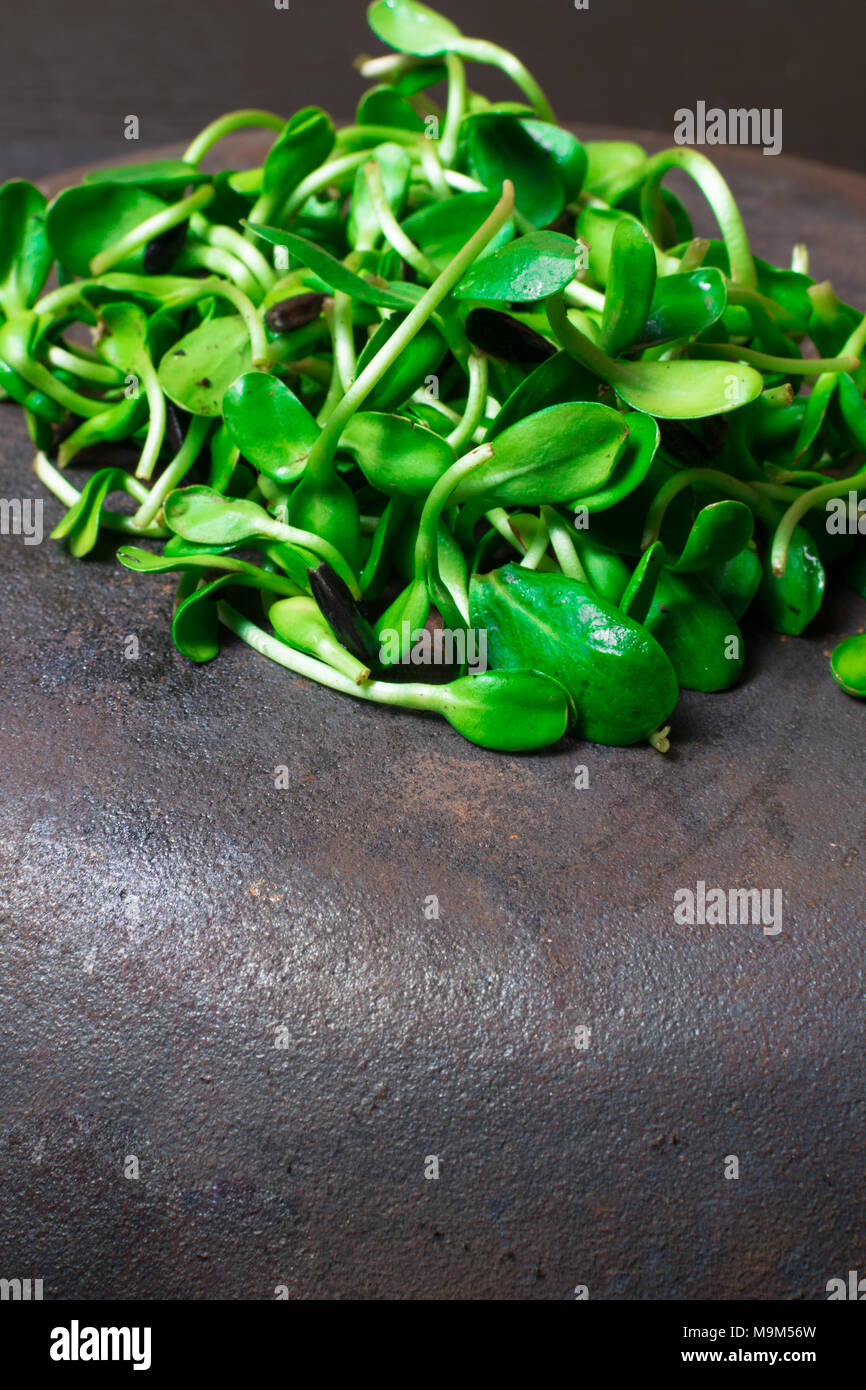 healthy green fresh shot, greens Stock Photo
