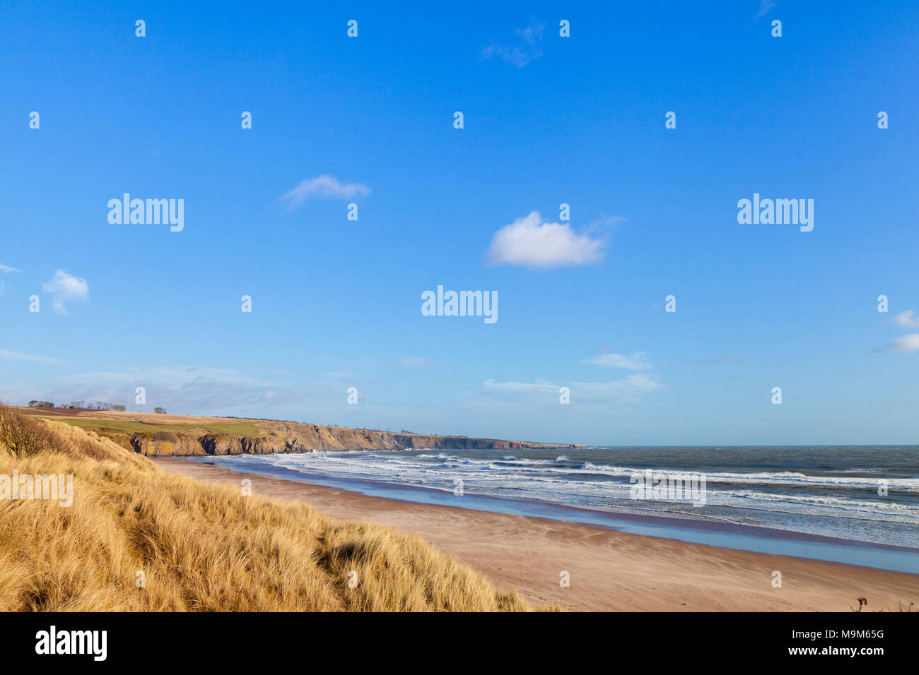 Lunan Bay beach near Montrose Scotland Stock Photo Alamy
