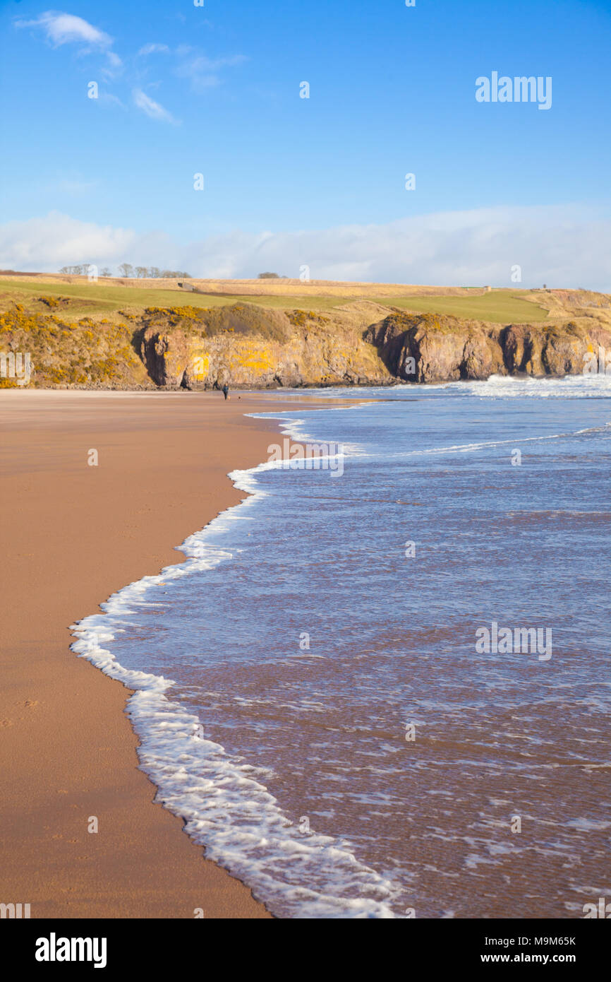 Lunan Bay beach near Montrose Scotland Stock Photo