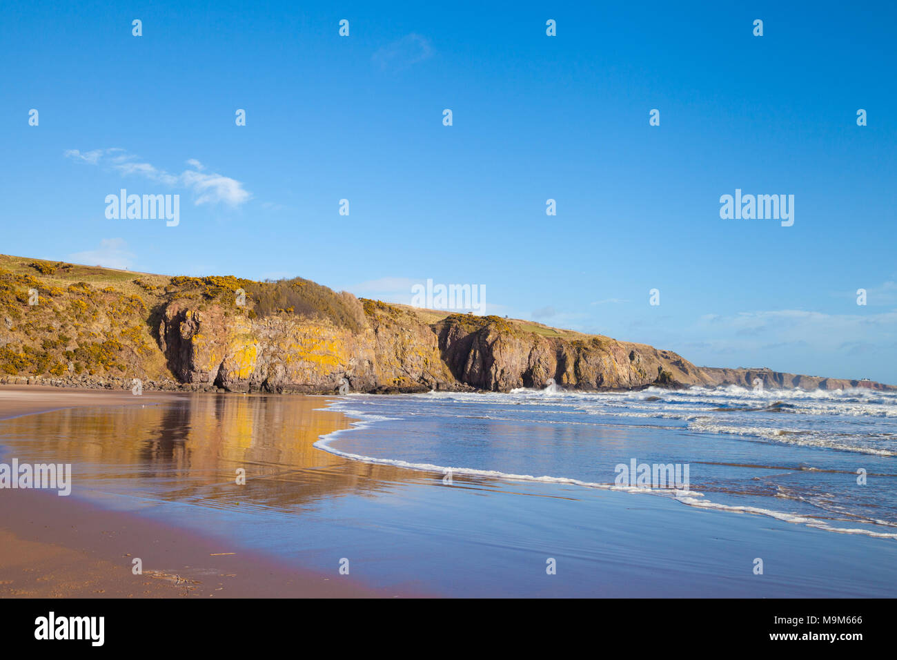 lunan-bay-beach-near-montrose-scotland-stock-photo-alamy