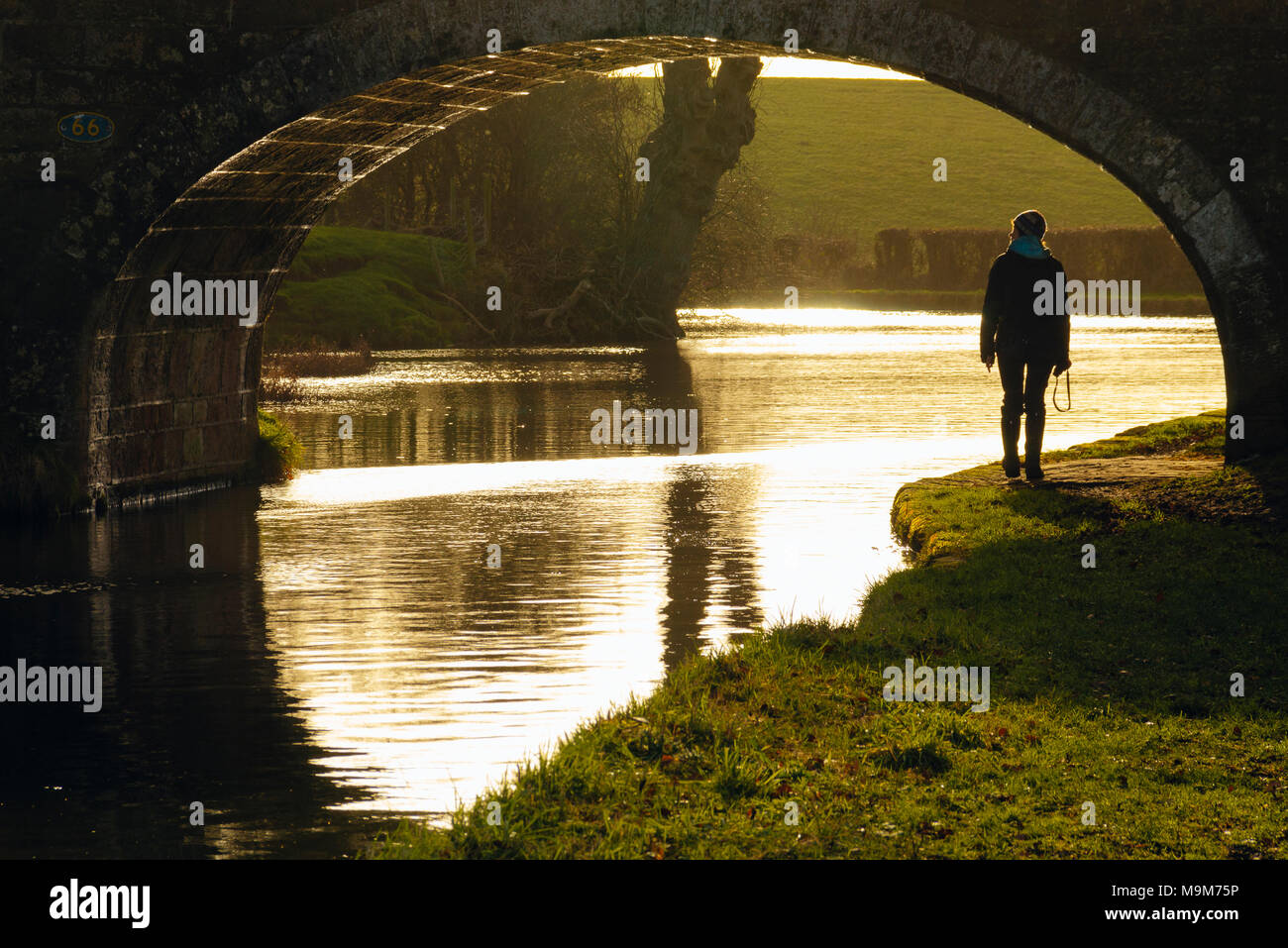 Walker under bridge 66 on the Lancaster Canal outside Garstang, Lancashire Stock Photo