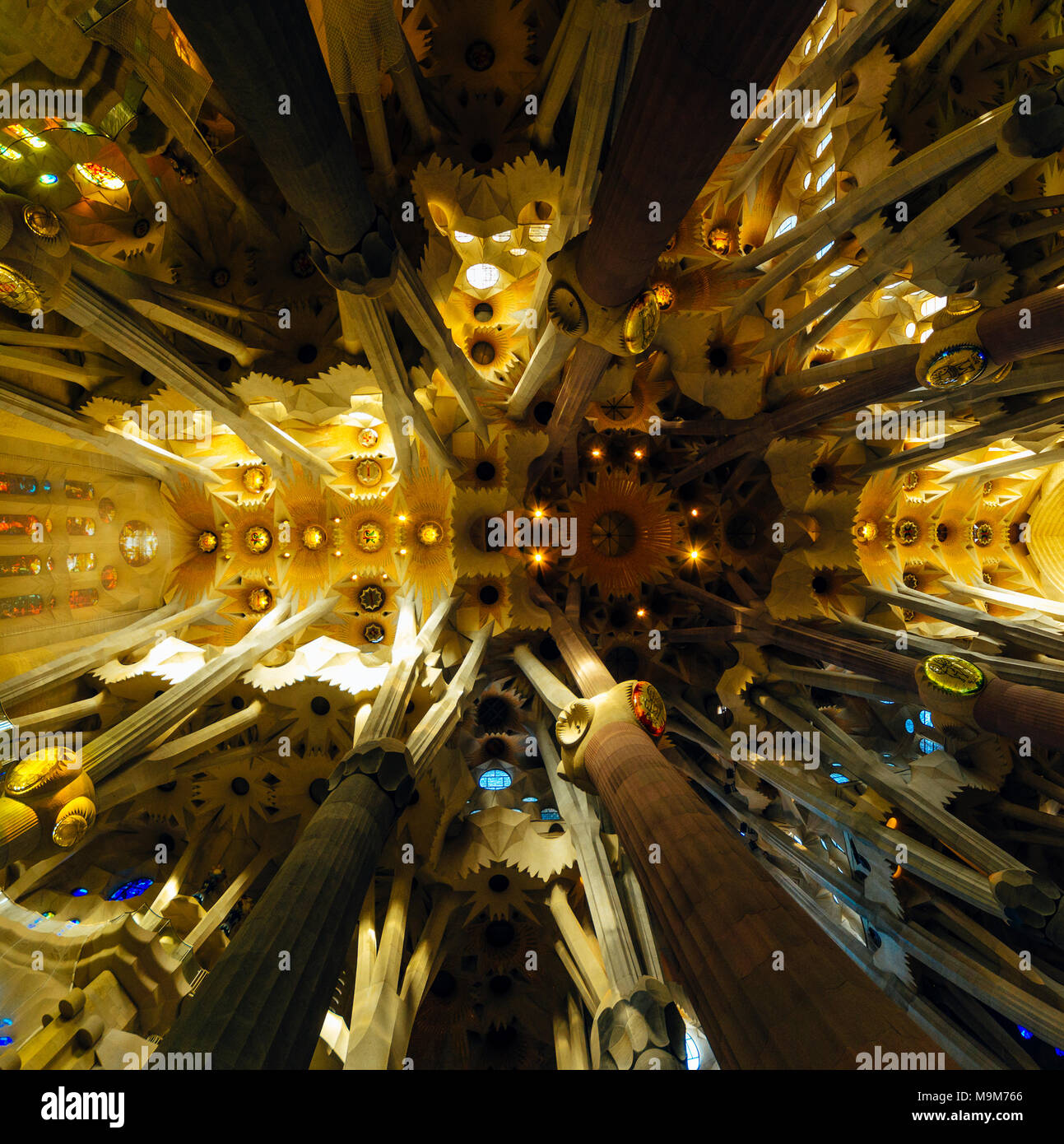 Wide-angle view looking up inside La Sagrada Familia, Barcelona Stock Photo