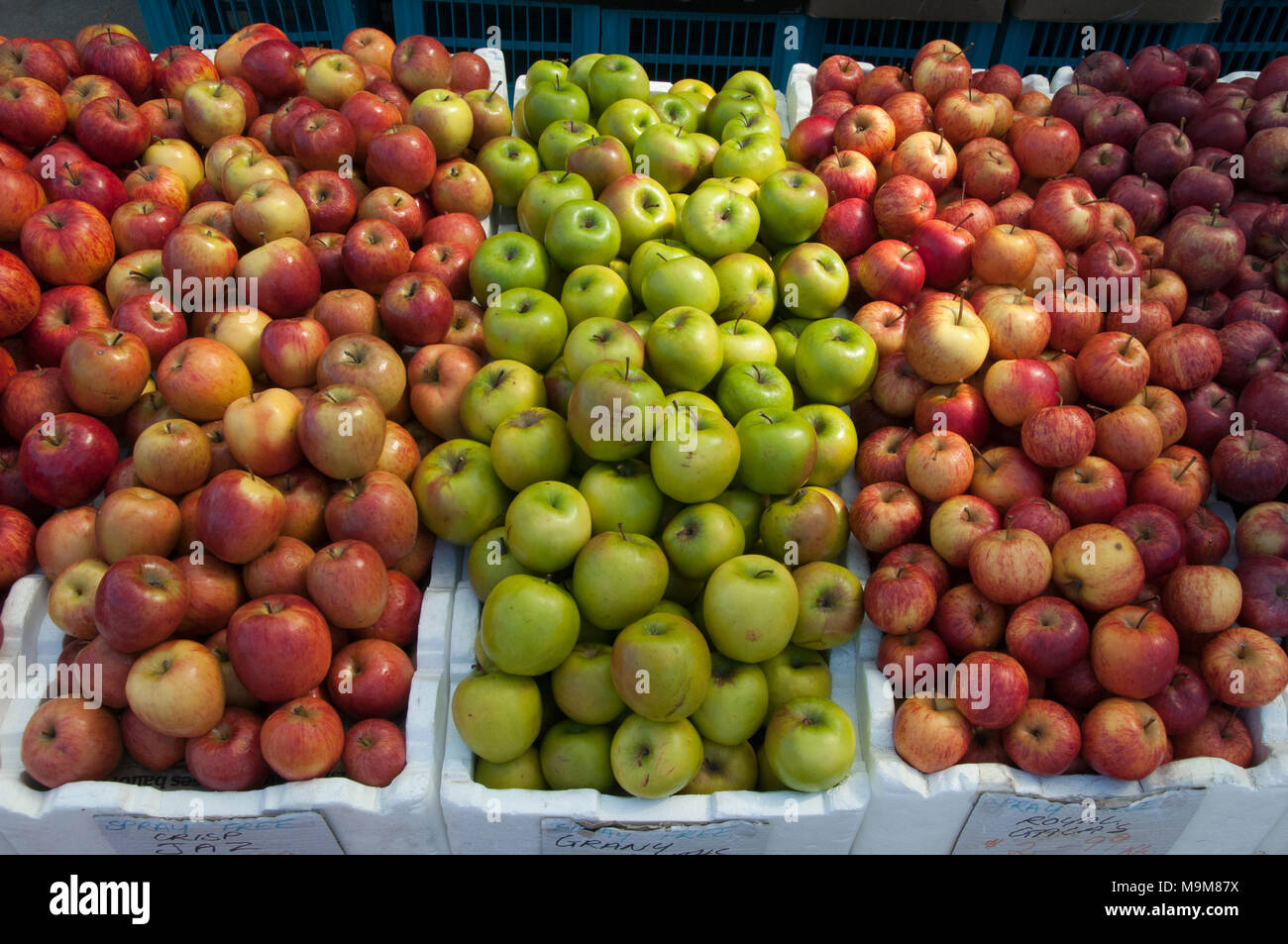 Apples for sale at a produce outlet in Oyster Cove, southern Tasmania