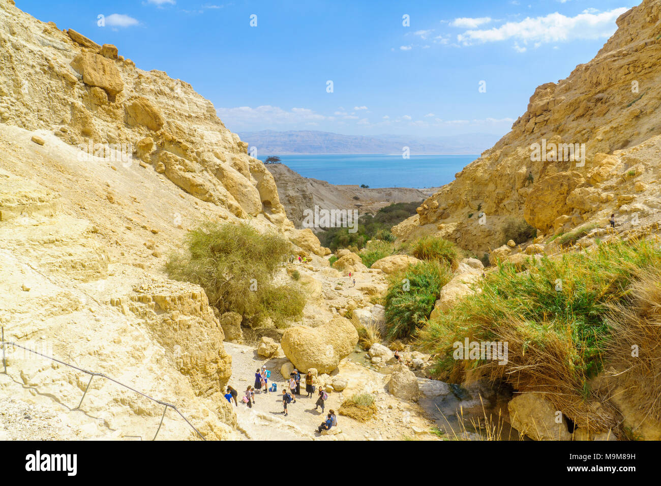 EIN GEDI, ISRAEL - MARCH 16, 2018: Landscape of Nahal David valley, and the Dead Sea, with visitors, in the Ein Gedi Nature Reserve, Judaean Desert, S Stock Photo
