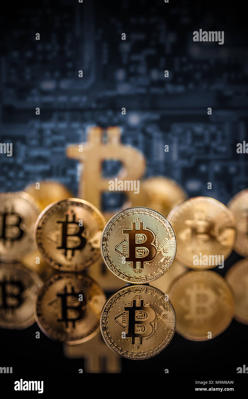 Single virtual cryptocurrency money Bitcoin golden coin on United Kingdom  Pound sterling banknotes with face of Adam Smith Stock Photo - Alamy