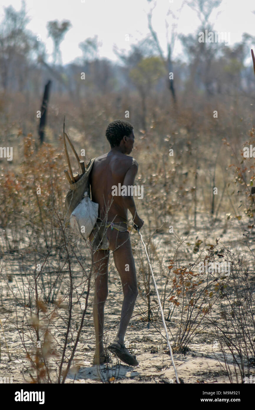 San tribe bushmen, also known as the First Tribe of Africa, hunting in the surrounding bushland in Namibia after a bush fire. Stock Photo