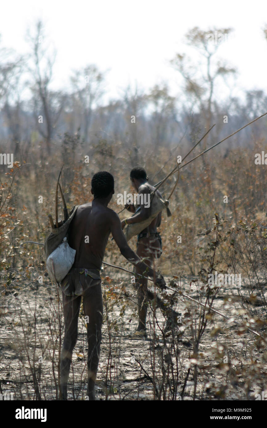 San tribe bushmen, also known as the First Tribe of Africa, hunting in the surrounding bushland in Namibia after a bush fire. Stock Photo